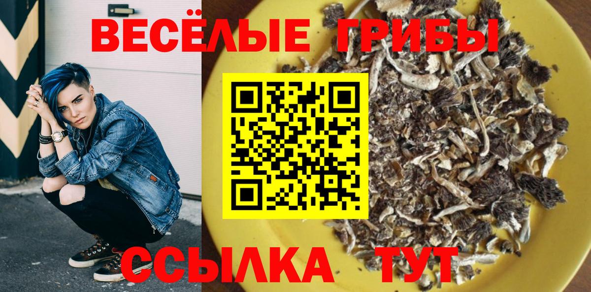 Великий Новгород  купить наркотик  Вход с VPN  Галлюциногенные грибы Psilocybe 